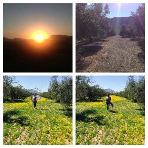 Processed with Moldiv